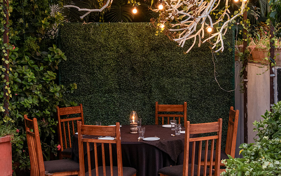 Hotel Manju Palace Food Quality